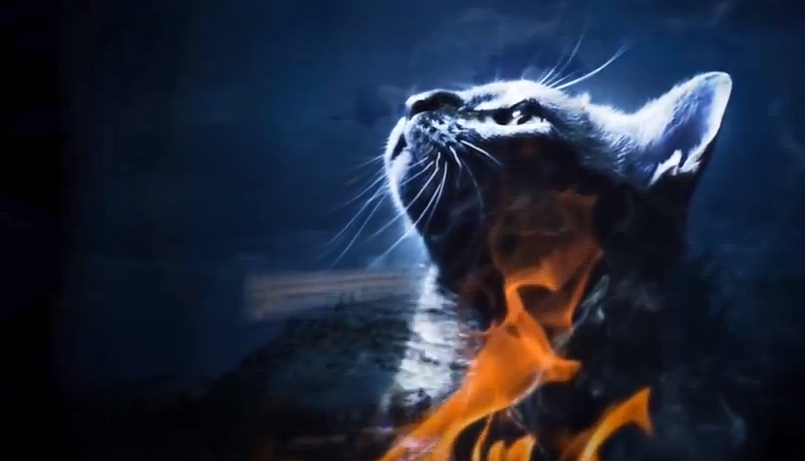 Το intro του True Detective με …γάτες!