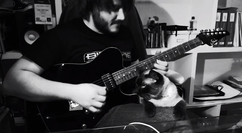 Σόλο κιθάρα με βοήθεια γάτας