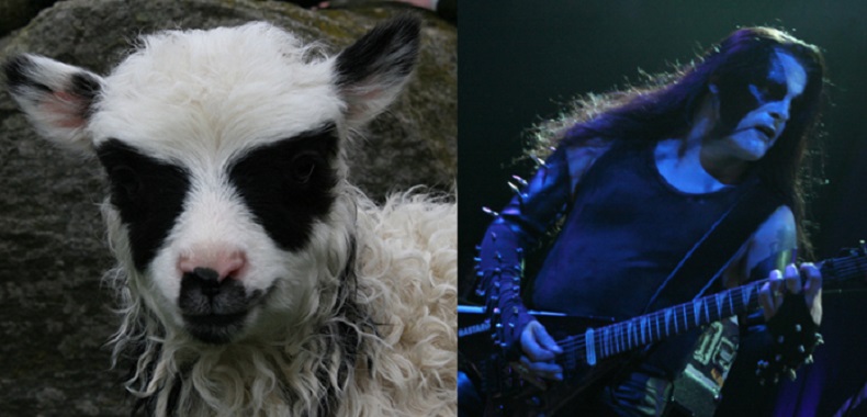 Υποδεχθείτε το black metal πρόβατο!