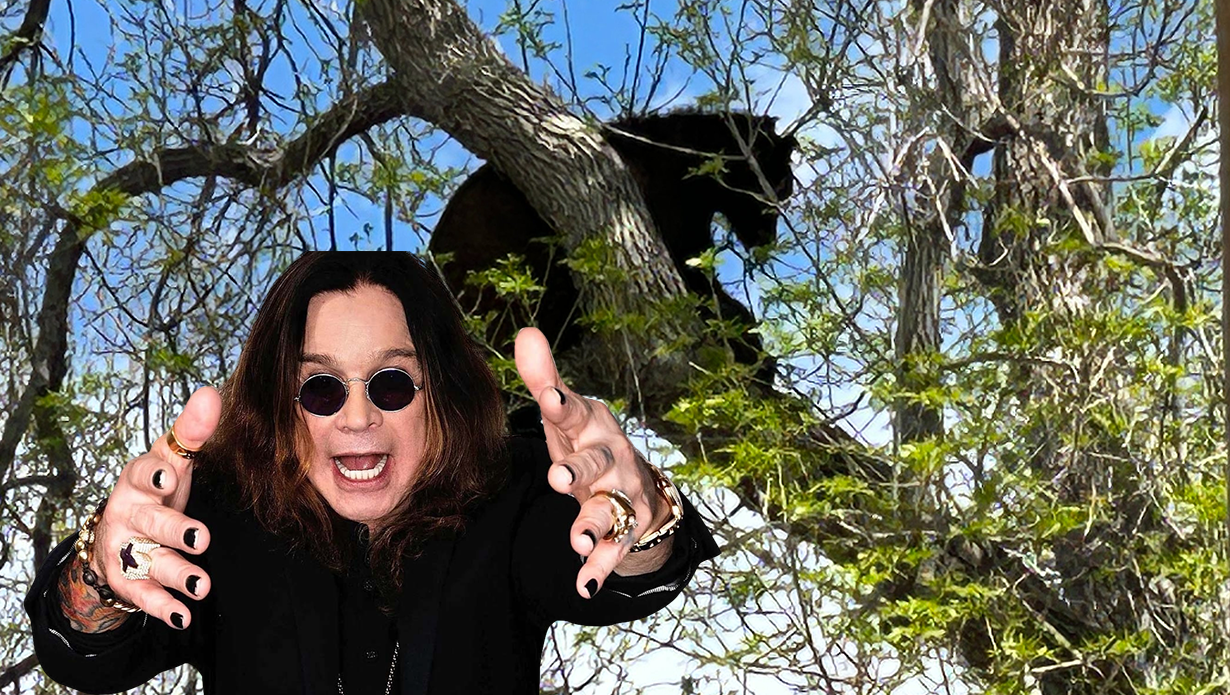 Προσπάθησαν να κατεβάσουν αρκούδα από δέντρο με το Iron Man των Black Sabbath